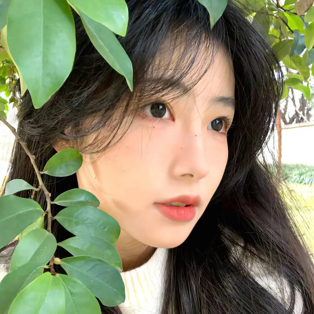更好的姐妹