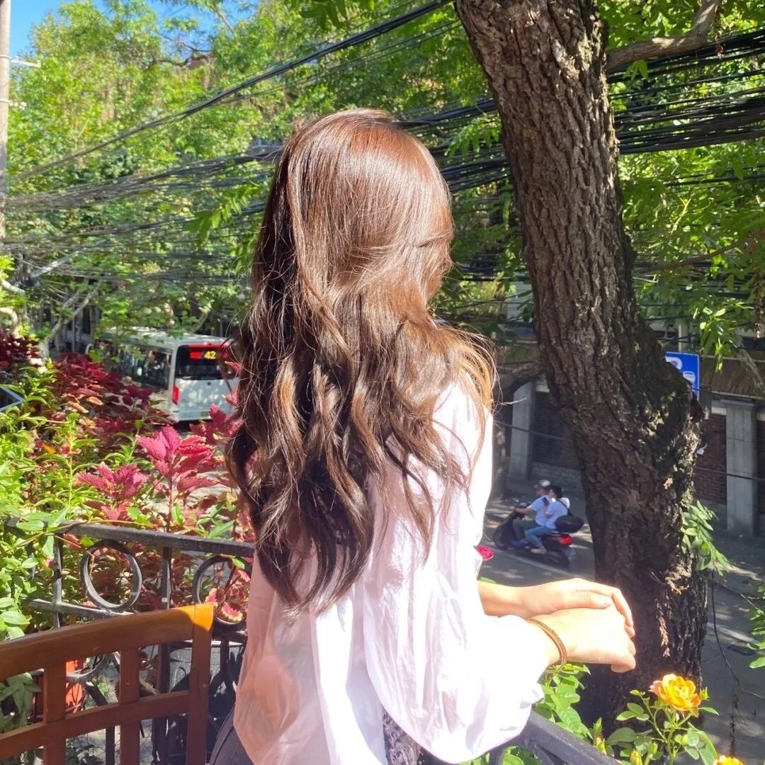 遇见莉莉