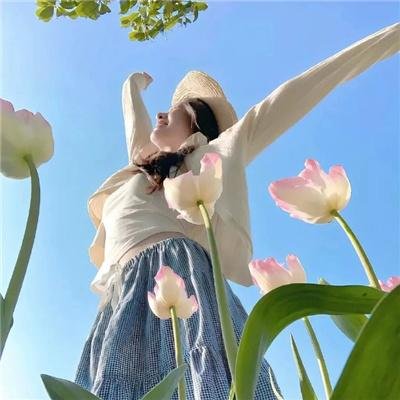 琴侠神枪